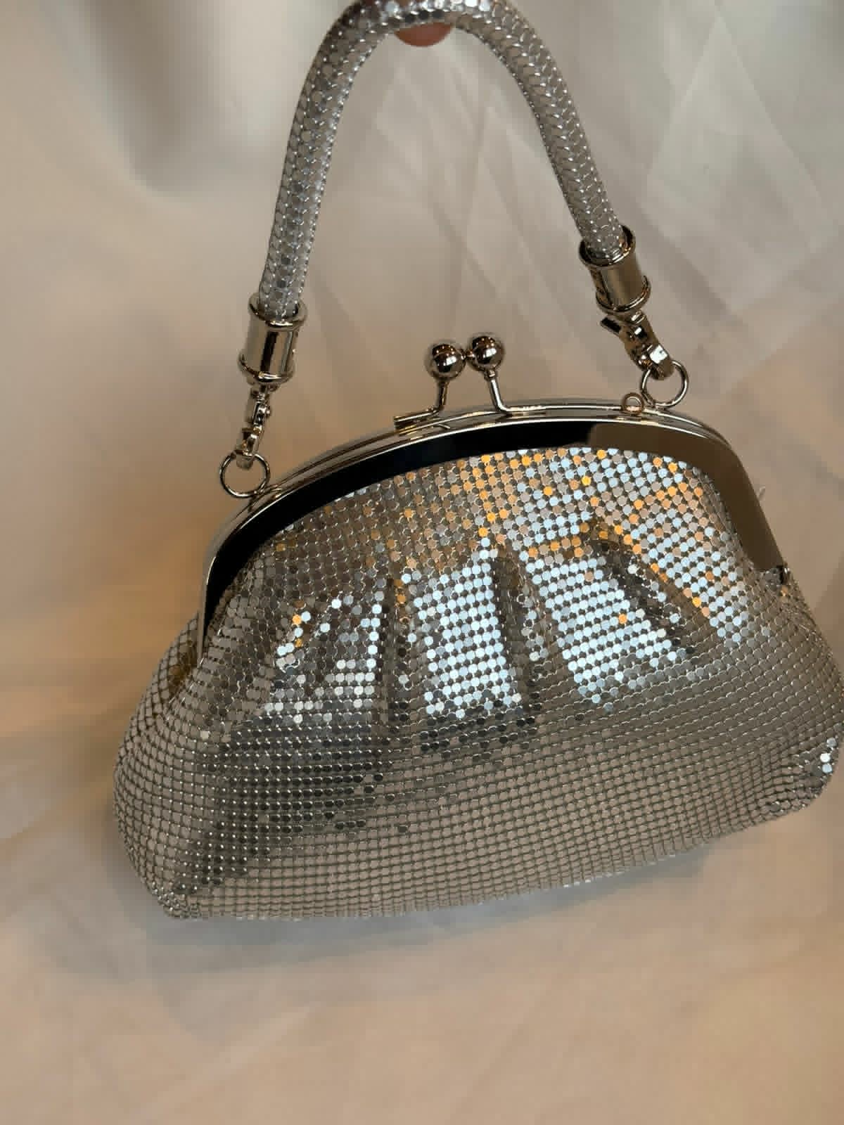 Vintage pure silver mesh clutch