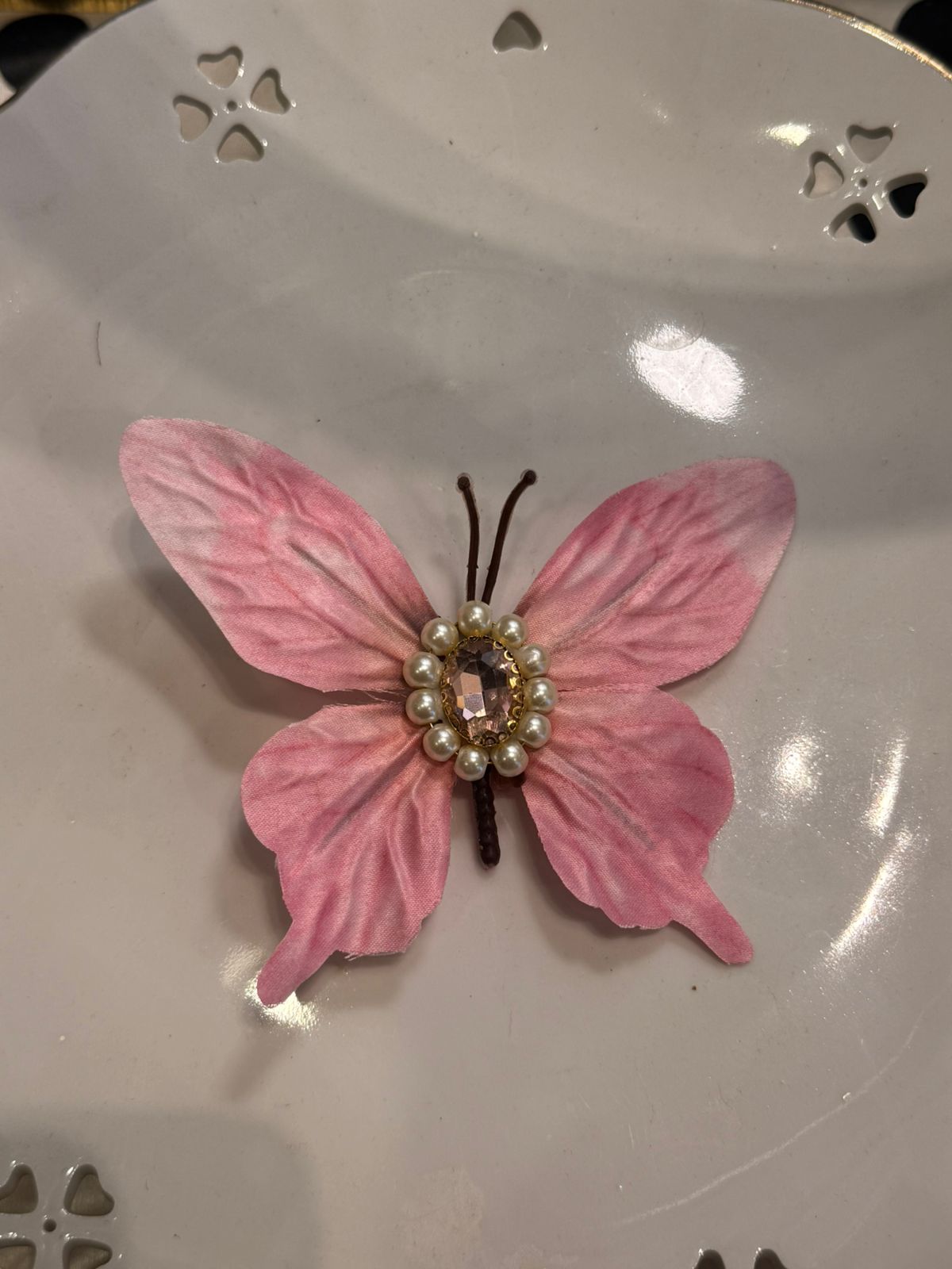 Butterfly hair clips