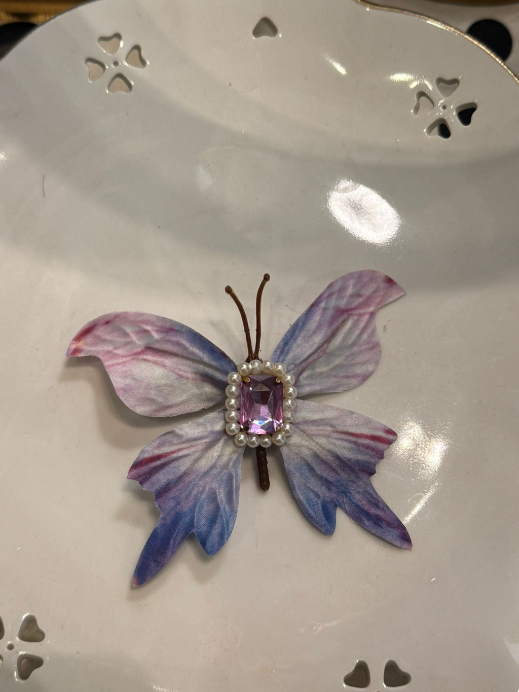 Butterfly hair clips