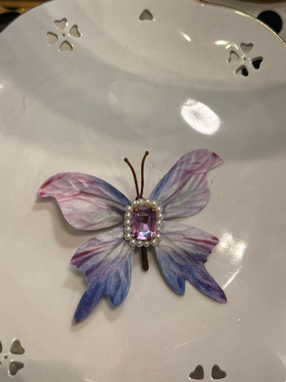 Butterfly hair clips