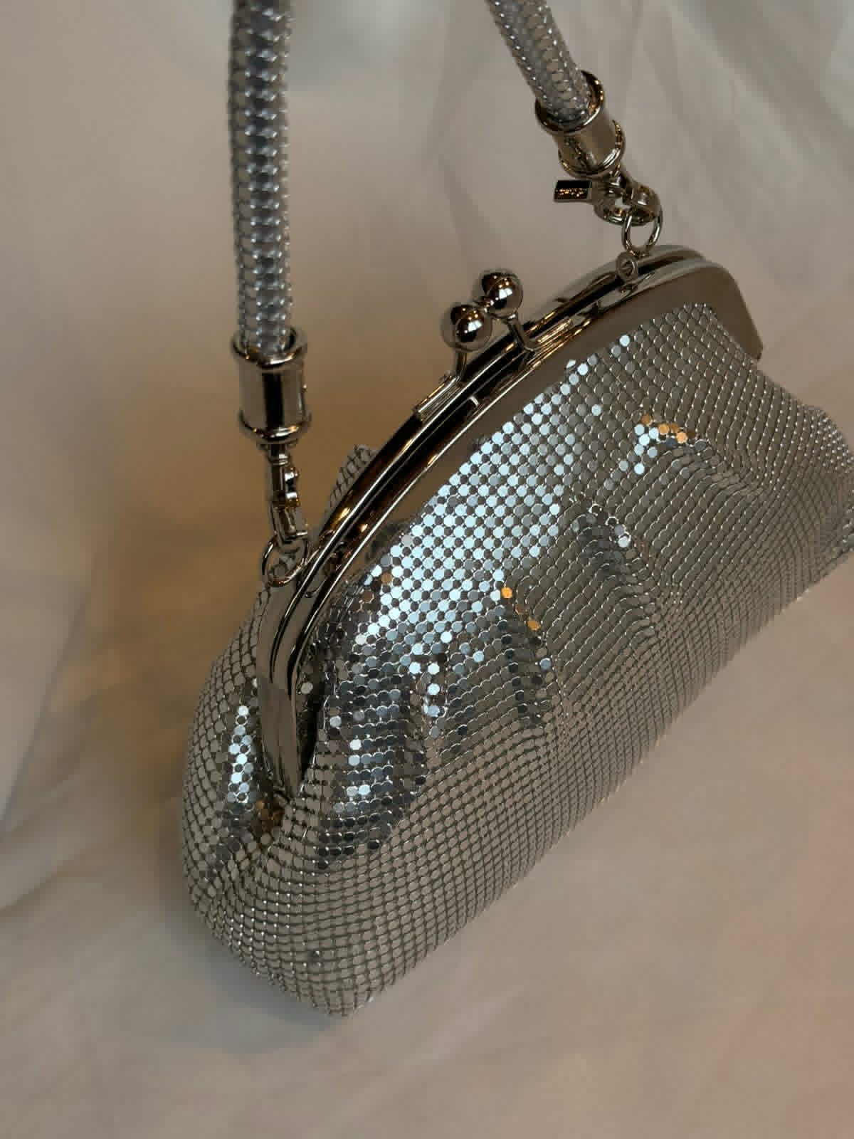 Vintage pure silver mesh clutch